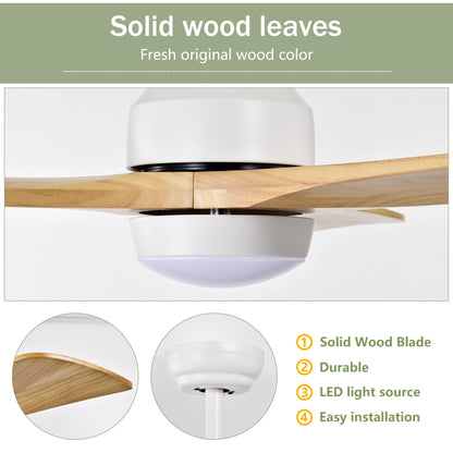 Wooden Ceiling Fan